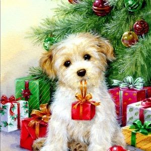 Meet your Posher, Ala